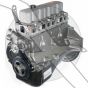 GM 3.0L 181ci Long Block Engine